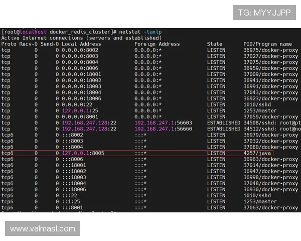 欧博代理网址查询常见问题及详细操作步骤指南推荐